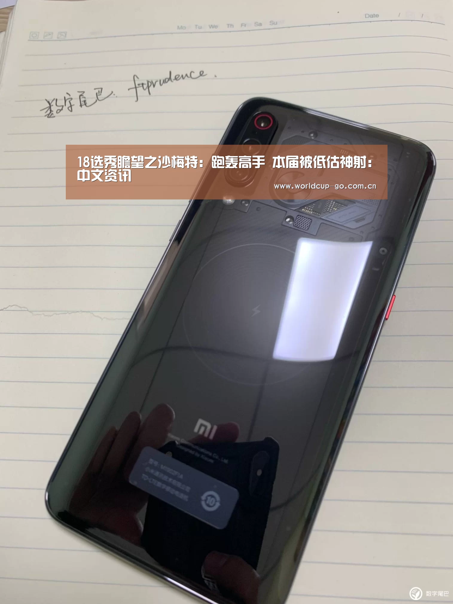 赛程查询