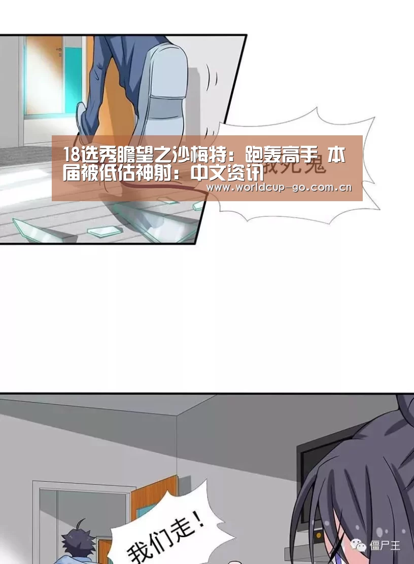 2026美加墨