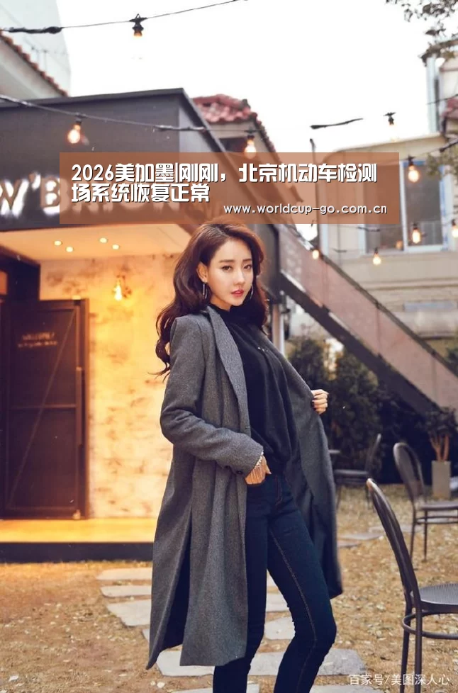 2026美加墨|刚刚,北京机动车检测场系统恢复正常(图3) 2026美加墨