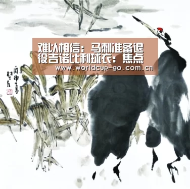 焦点比赛